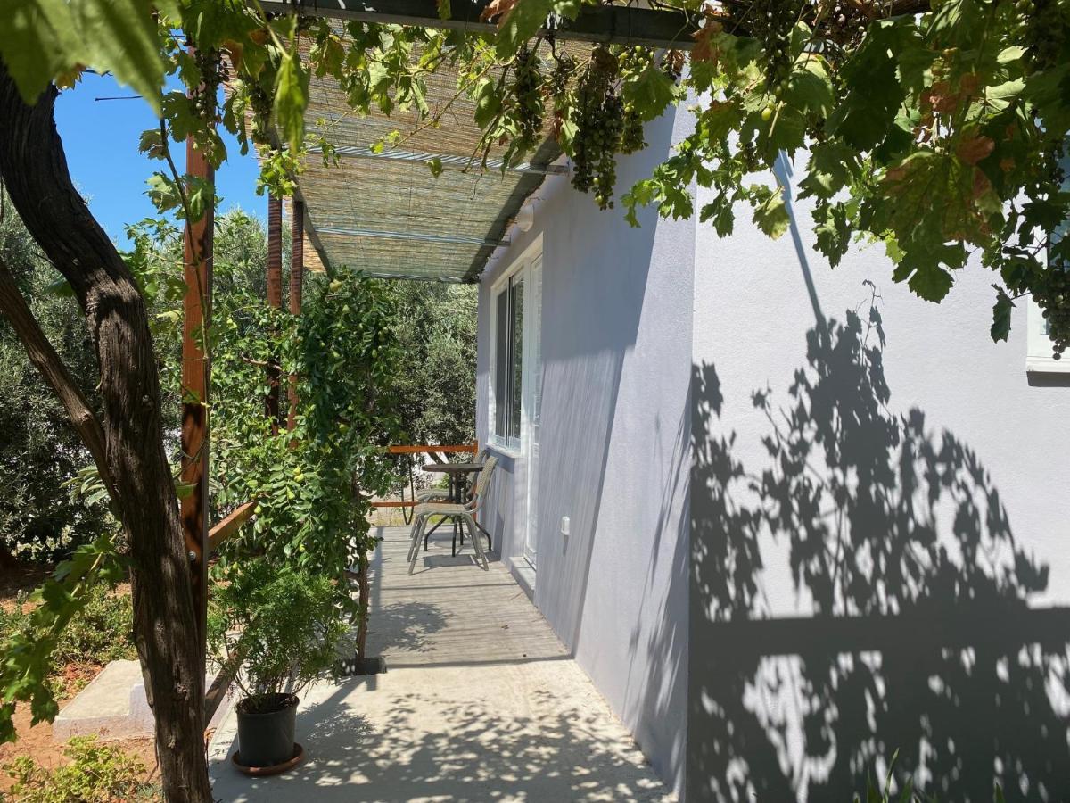 Vine Veranda Palaiochora Luaran gambar