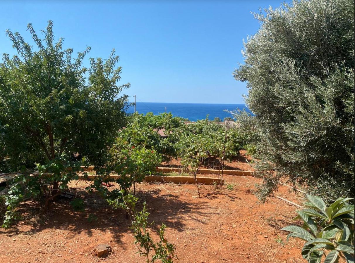 Vine Veranda Palaiochora Luaran gambar